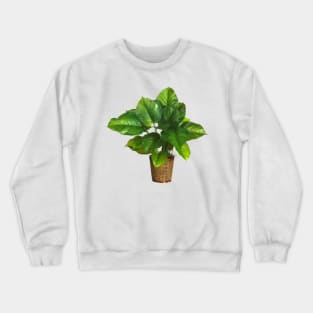 Nature's Serenity: Green Plant in a Pot Crewneck Sweatshirt